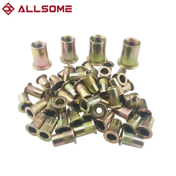 ALLSOME 300 قطعة M3 M4 M5 M6 M8 M10 رئيس برشام المكسرات مجموعة المكسرات إدراج تراجع متعدد الحجم برشام المكسرات التجميع مع صندوق HT2599
