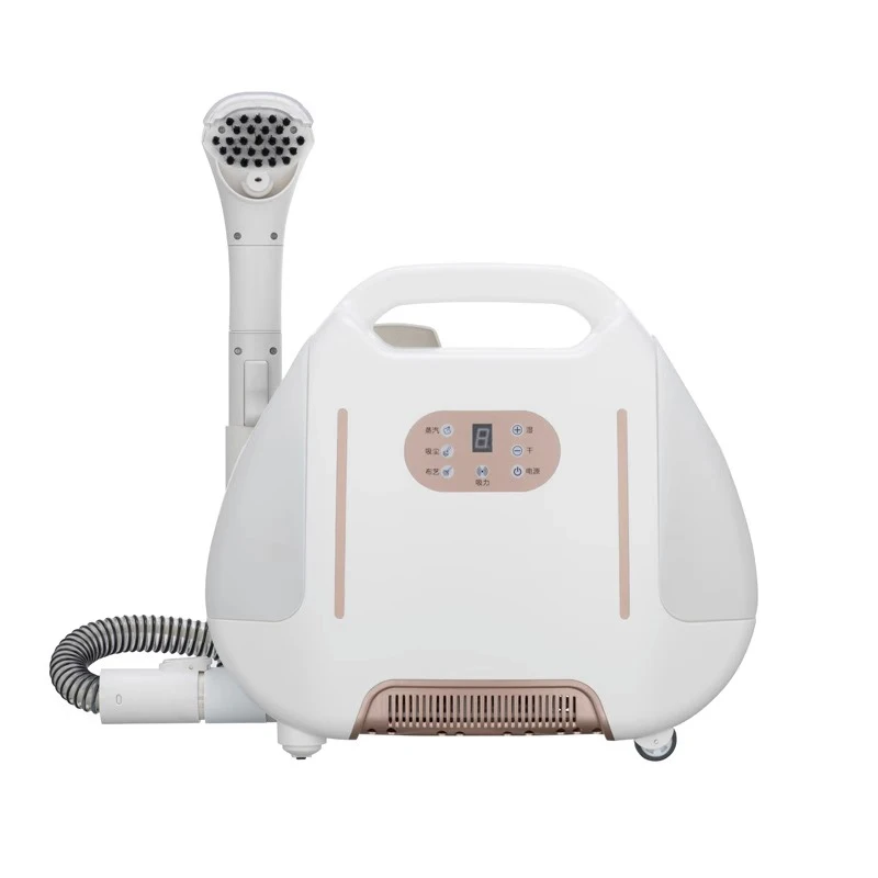 Handheld Electric Steam Cleaner Vacuum High Temperature Sterilization Carpet Sofa Mattress Kitchen Hood Dry Cleaning Machine - الصورة 2