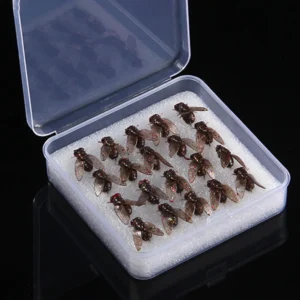 New 5-20PCS Mini Bionic Fly Fishing Bait Fly Hook Soft Bait Add Fish Attractant Fishing Gear For Salmon Trout 10/16/20mm