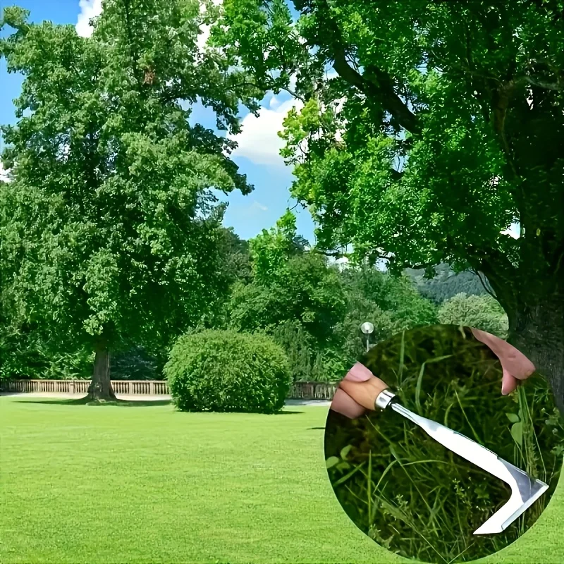 Stainless Steel Garden Weeder Knife, Wooden Handle Hand Weeding Tool for Lawn, Vegetable Garden & Plant Care, Summer Gardening A - الصورة 5