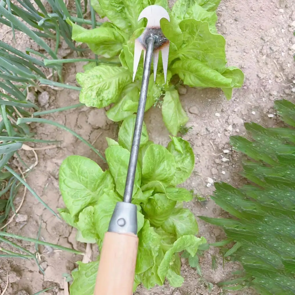 Garden Weeding Tool Gardening Agricultural Tools Weeding Artifact Gardening Hoes for Plowing Digging Gardening Planting Weeding Garden Weeding Tool Gardening Agricultural Tools Weeding Artifact Gardening Hoes for Plowing Digging Gardening Planting Weeding