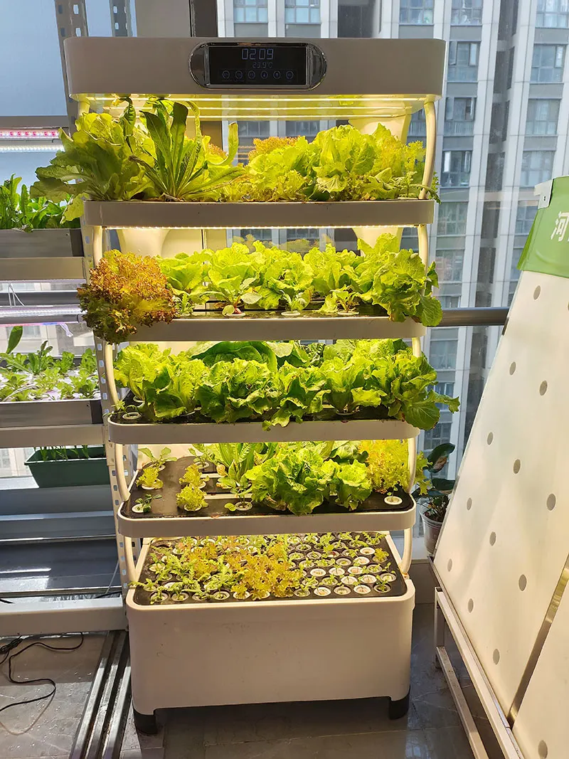 Intelligent Hydroponic Growing System Home Use Controllable Hydroponic Grow Equipment Home Smart Farm - الصورة 6