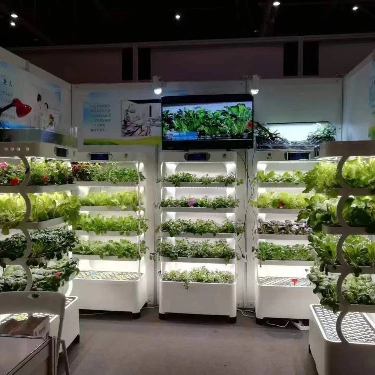 Intelligent Hydroponic Growing System Home Use Controllable Hydroponic Grow Equipment Home Smart Farm - الصورة 2