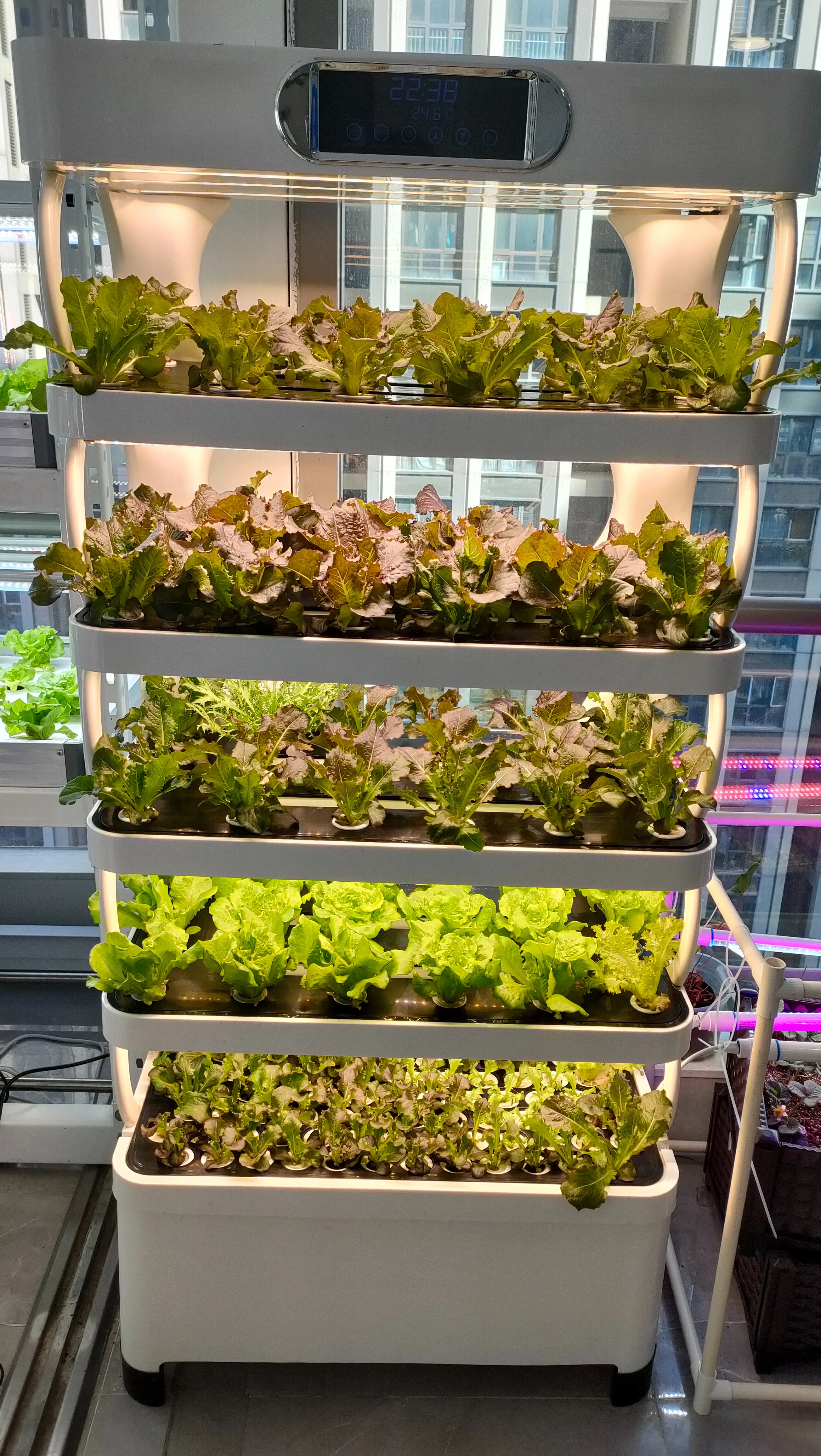Intelligent Hydroponic Growing System Home Use Controllable Hydroponic Grow Equipment Home Smart Farm - الصورة 4