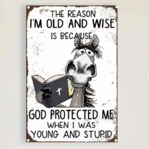 Distinctive "I'm Old But Smart" Wall Decor – Timeless Retro Style, Ideal for Enhancing Homes/Bars