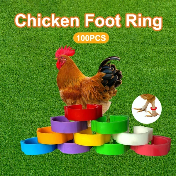 kf-S9738e87f4ba14821b189a74c0cb20239D